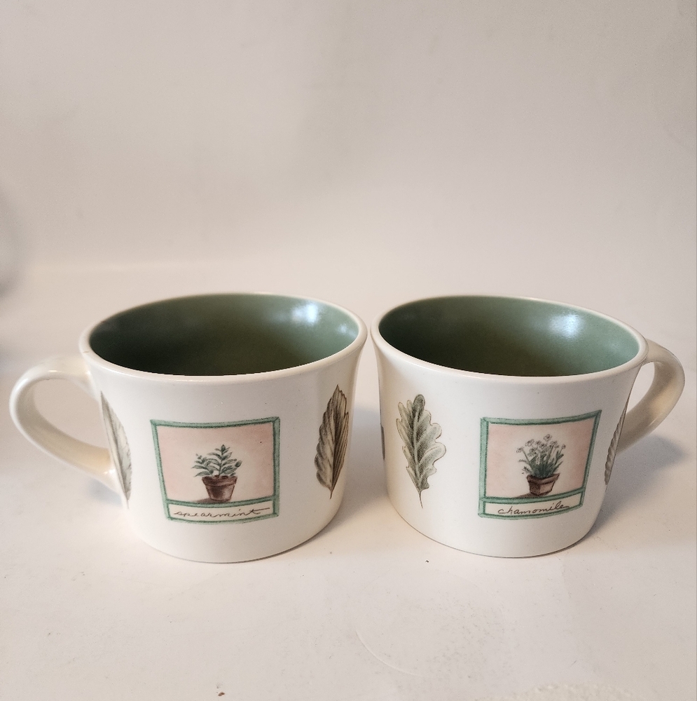 Pfaltzgraff Naturewood Coffee Mugs, set of 2